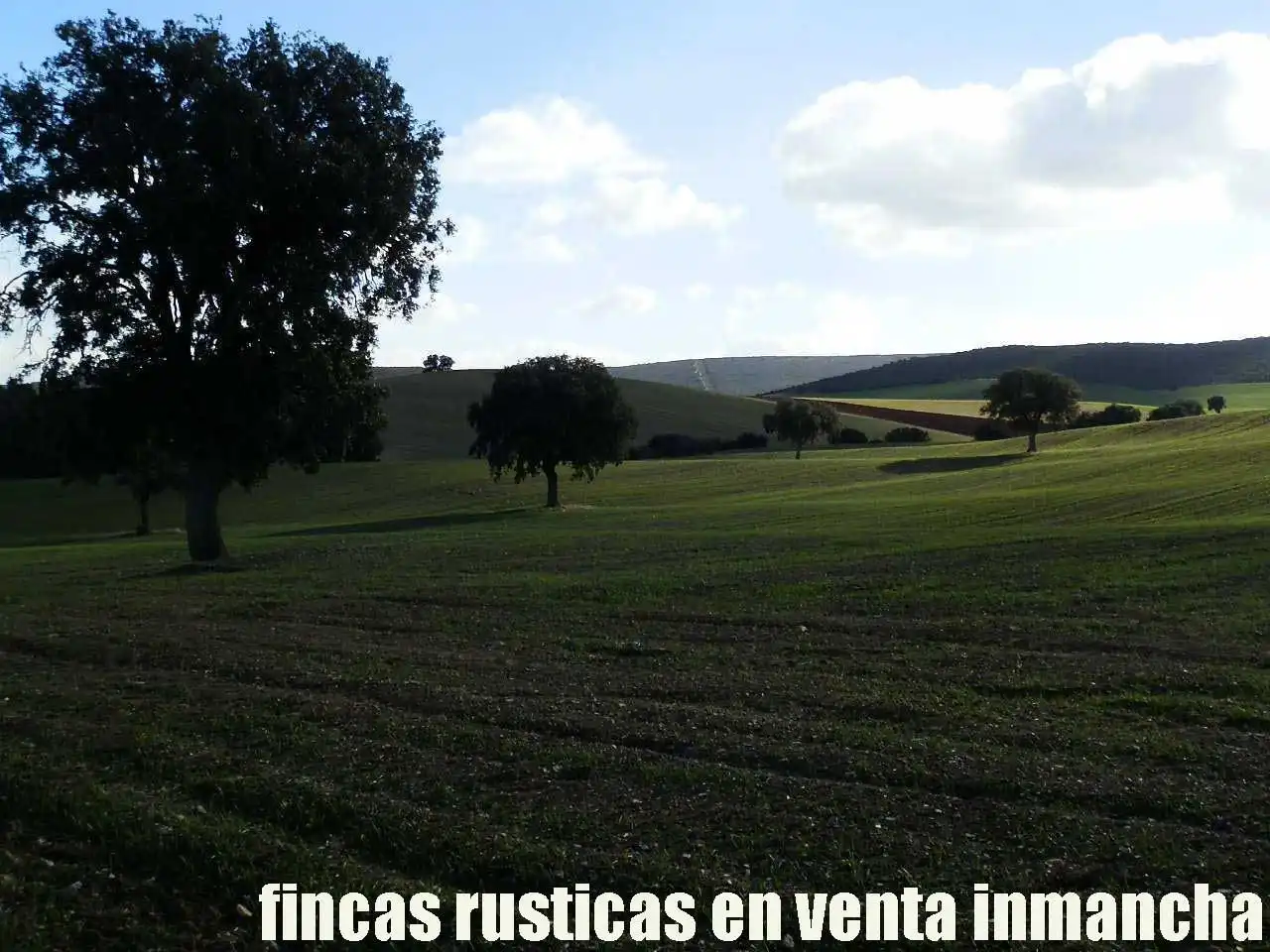 Terreny rústic en venda a Viso del Marqués, imagen 5