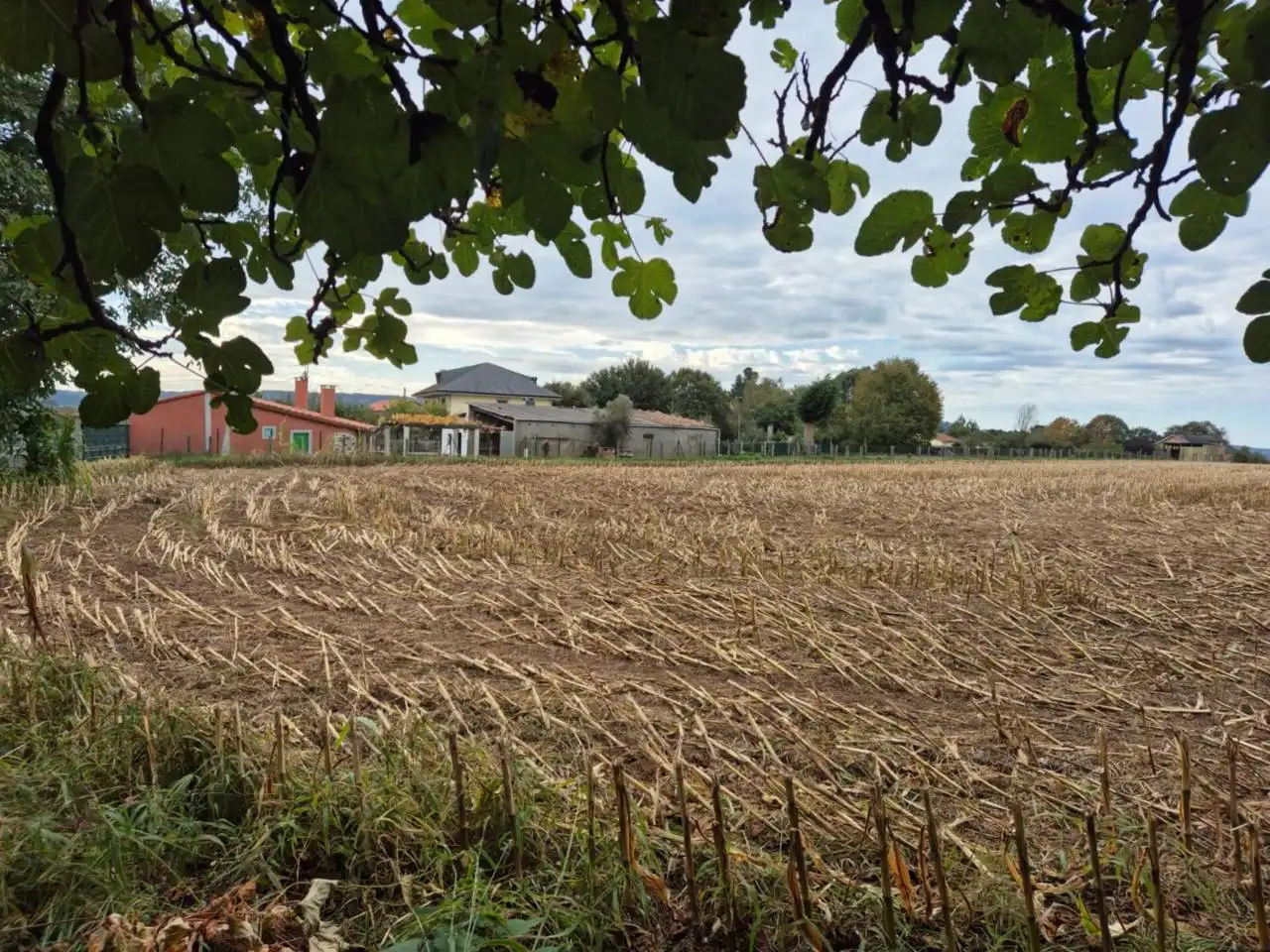 House with garden for sale in CANTO VALO, imagen 25