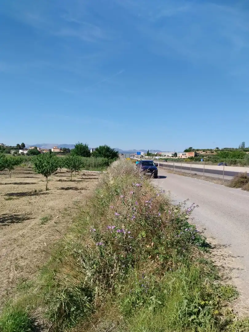 Terreni e lotti in vendita a Carretera Polígono 1 Parcela 83 PAGE BAJO. VILLA DE OTURA (, imagen 12