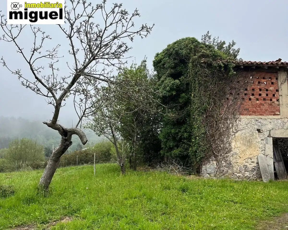 Casa amb jardí en venda a Calle El Peral, imagen 15