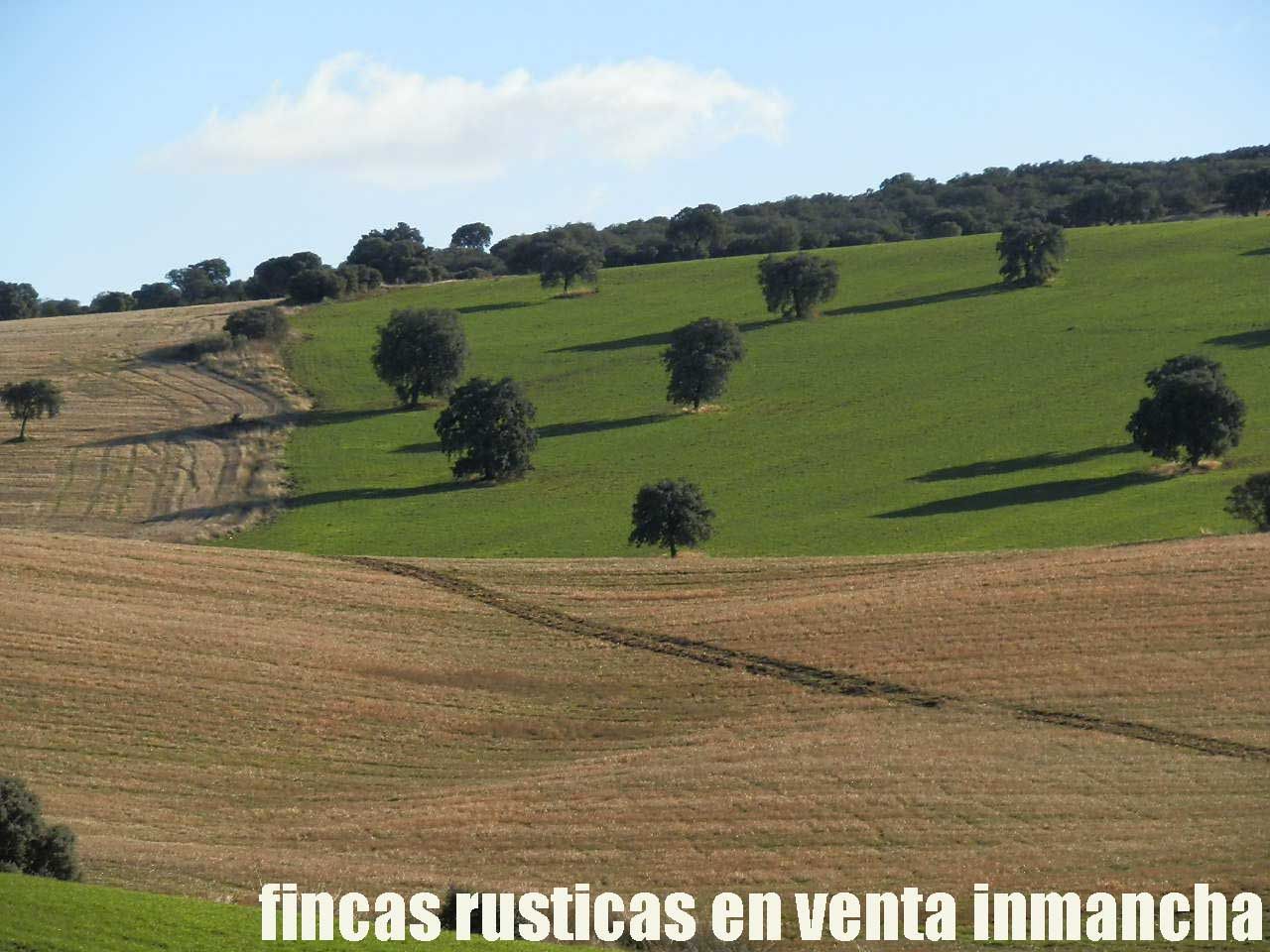 Exterior view of Land for sale in Viso del Marqués