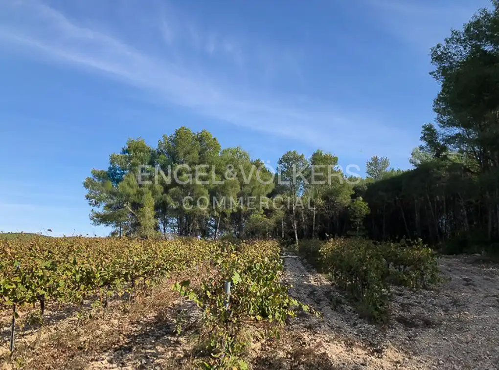 Fabrik Grundstücke zum Verkauf in Avinyonet del Penedès