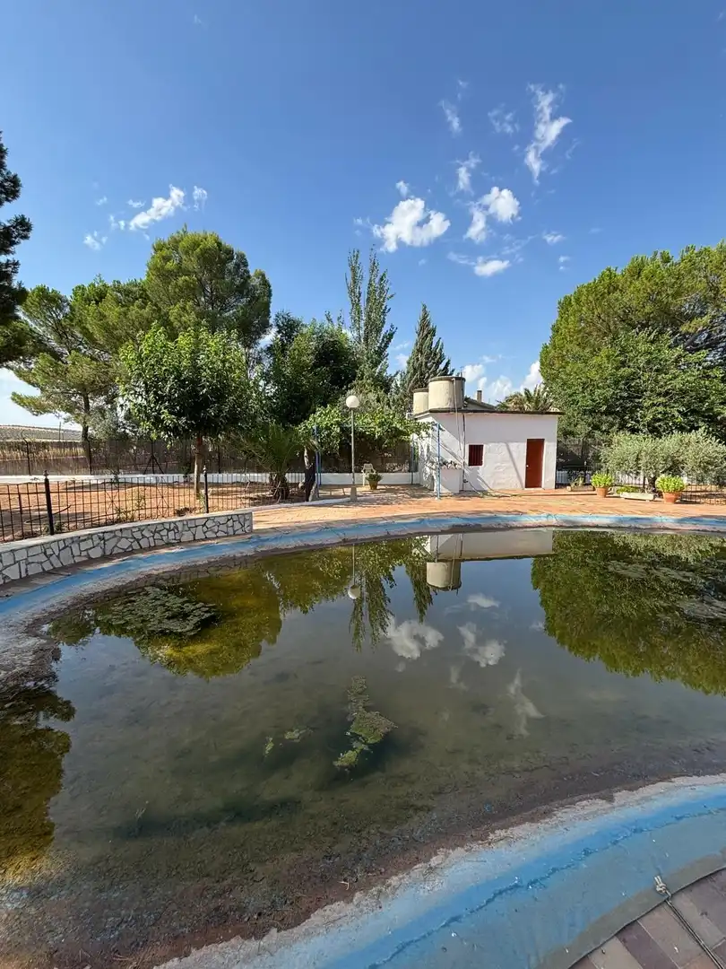Chalet con piscina en venta en Valdepeñas, imagen 43