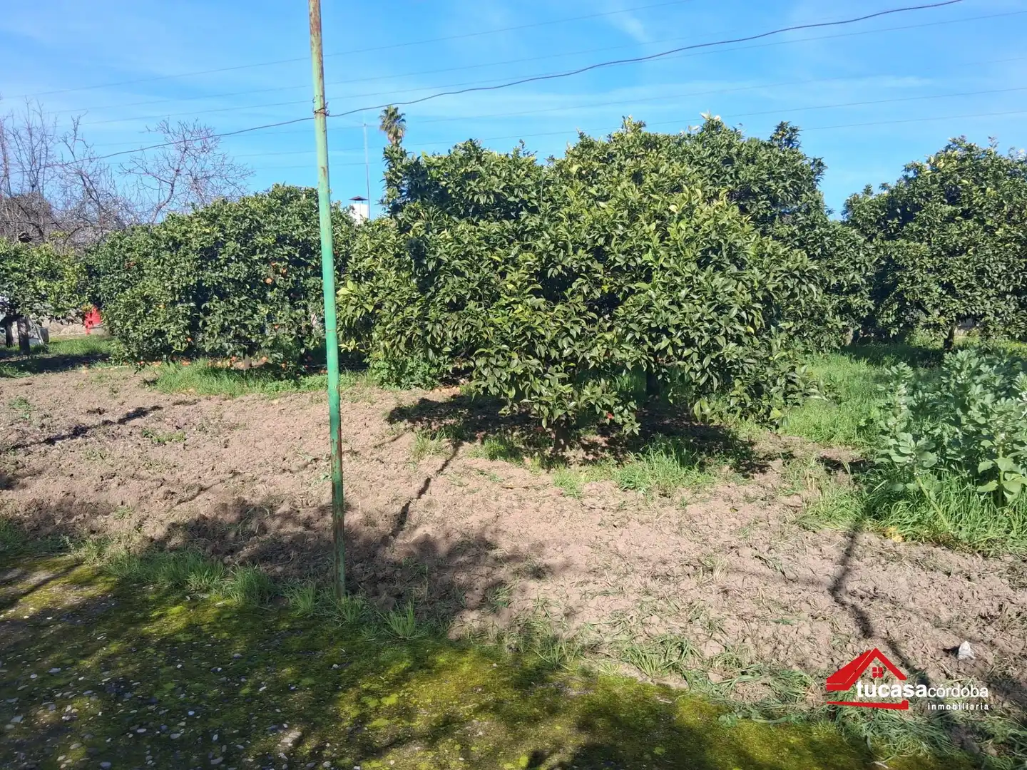 Finca rústica en venda en Córdoba