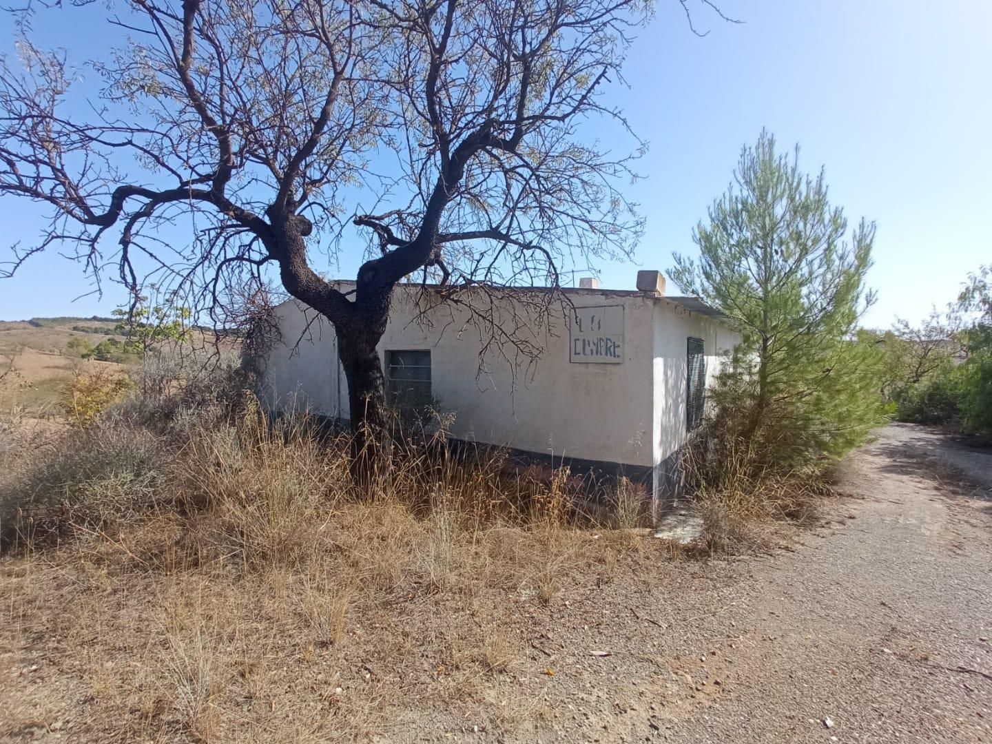 Exterior view of Land for sale in Lorca