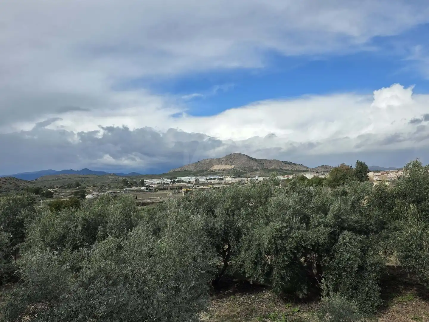 Finca rústica en venda a Calasparra
