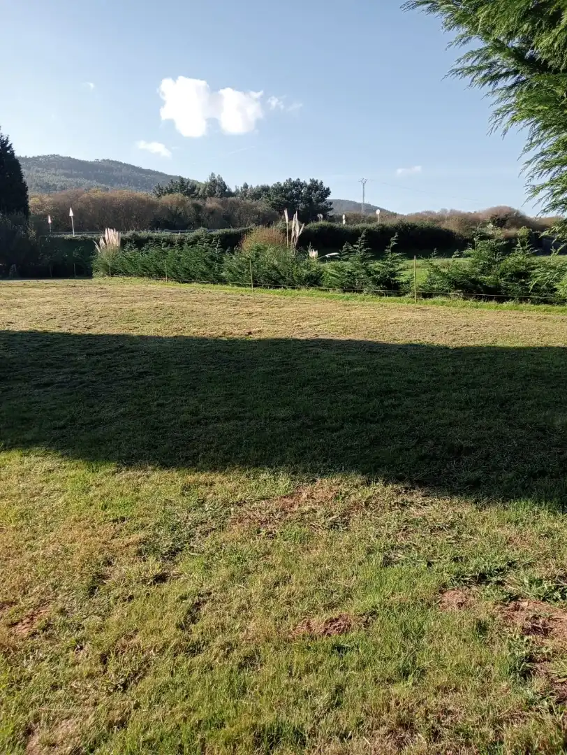 Terreni e lotti in vendita a Camiño Forxán, imagen 3
