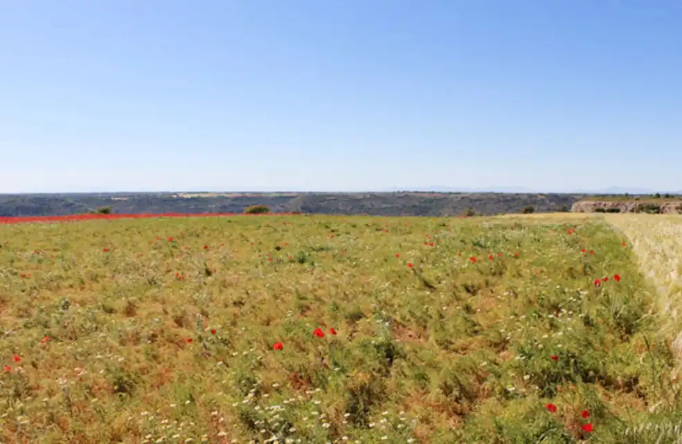 Terreno en venta en Valfermoso de Tajuña