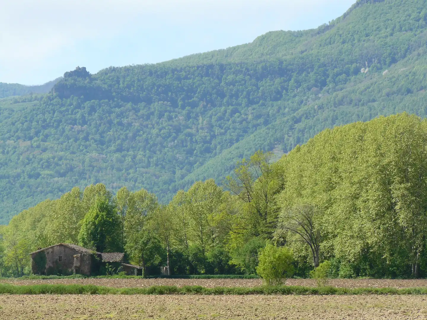 Vista exterior de Finca rústica en venta en Les Preses