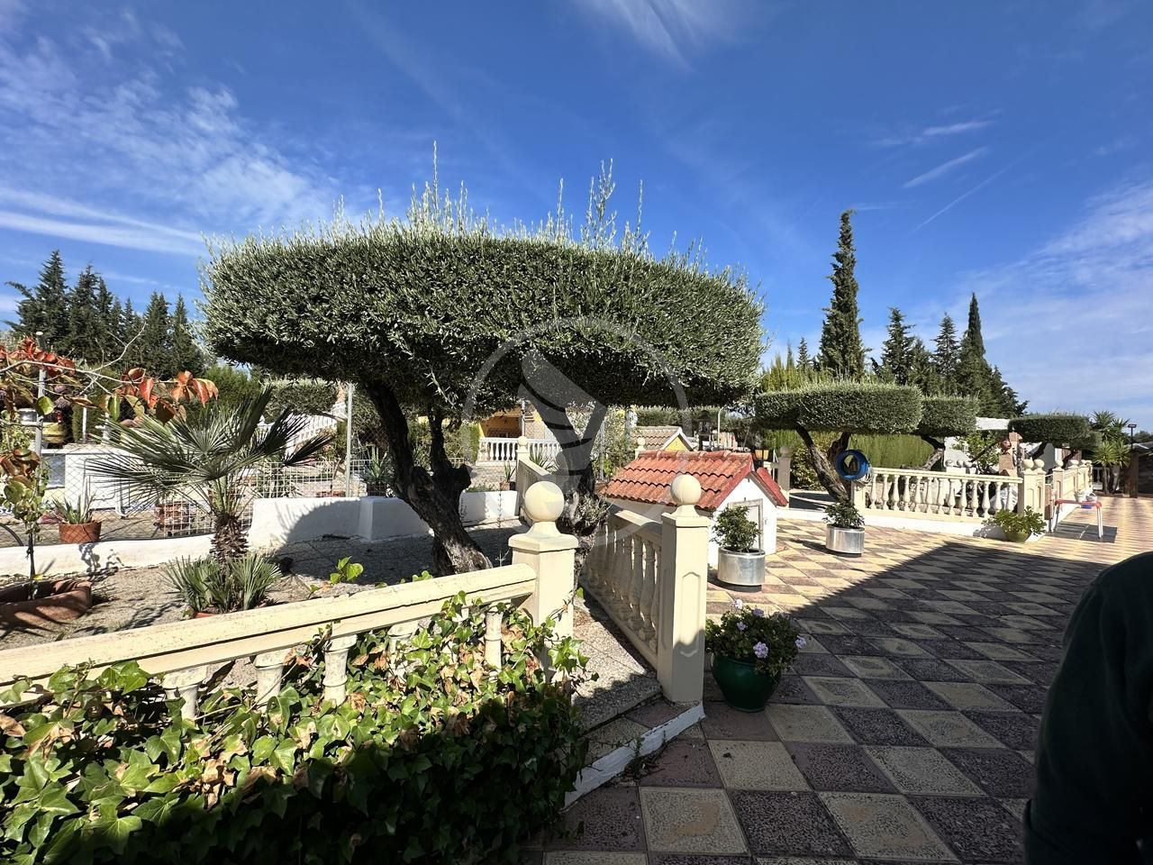 Garden of Country house for sale in Linares  with Private garden, Terrace and Swimming Pool