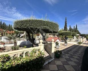 Jardí de Finca rústica en venda en Linares amb Jardí privat, Terrassa i Piscina