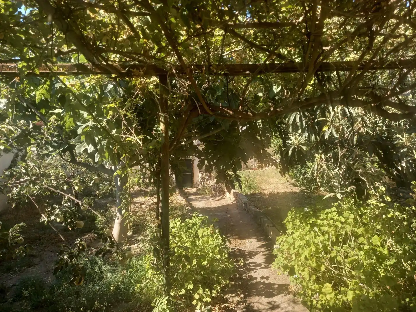 Terrenys i solars en venda a Almodóvar del Río, imagen 5