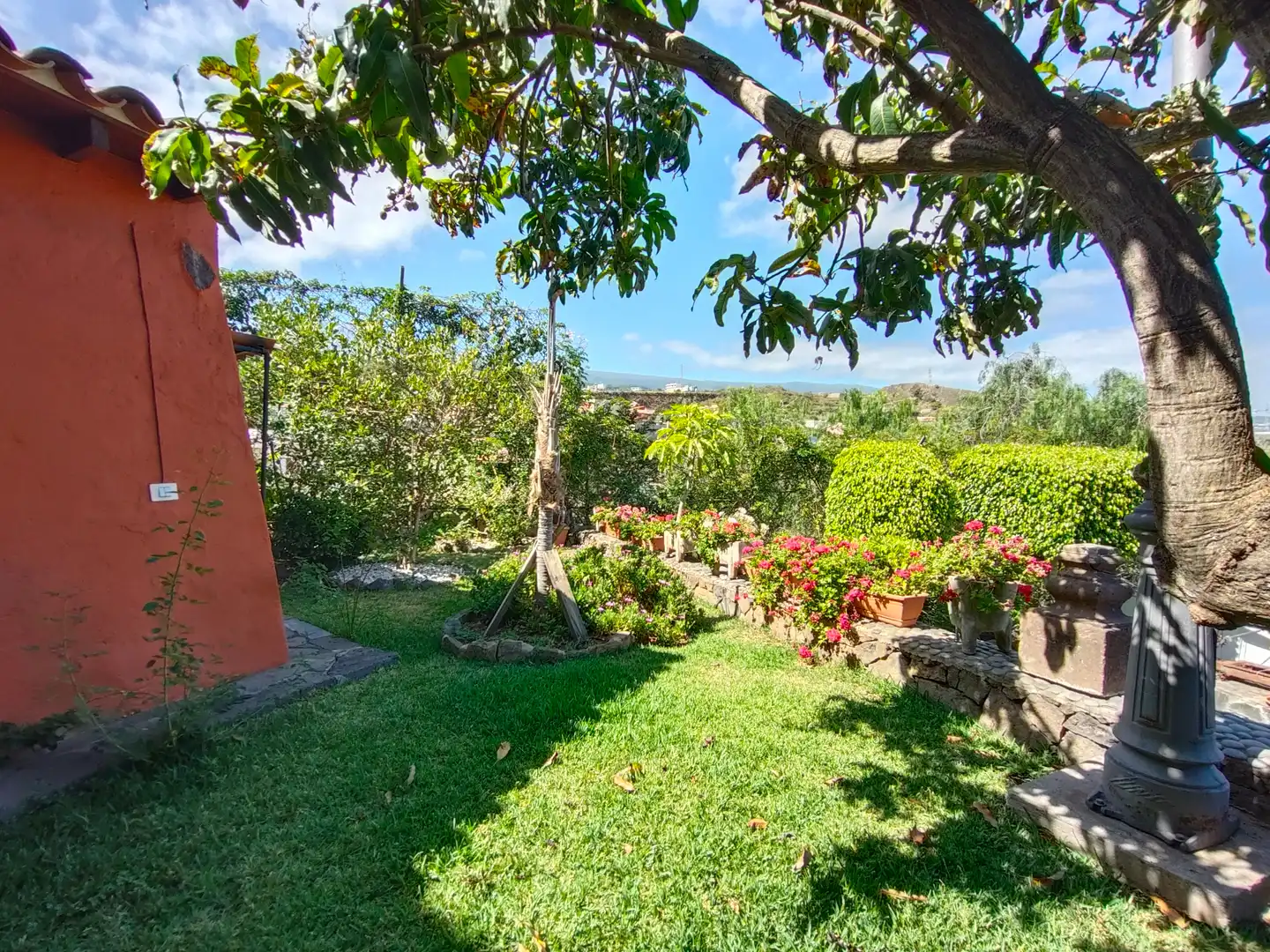 Jardí de Casa o xalet en venda en Icod de los Vinos amb Jardí privat, Terrassa i Traster