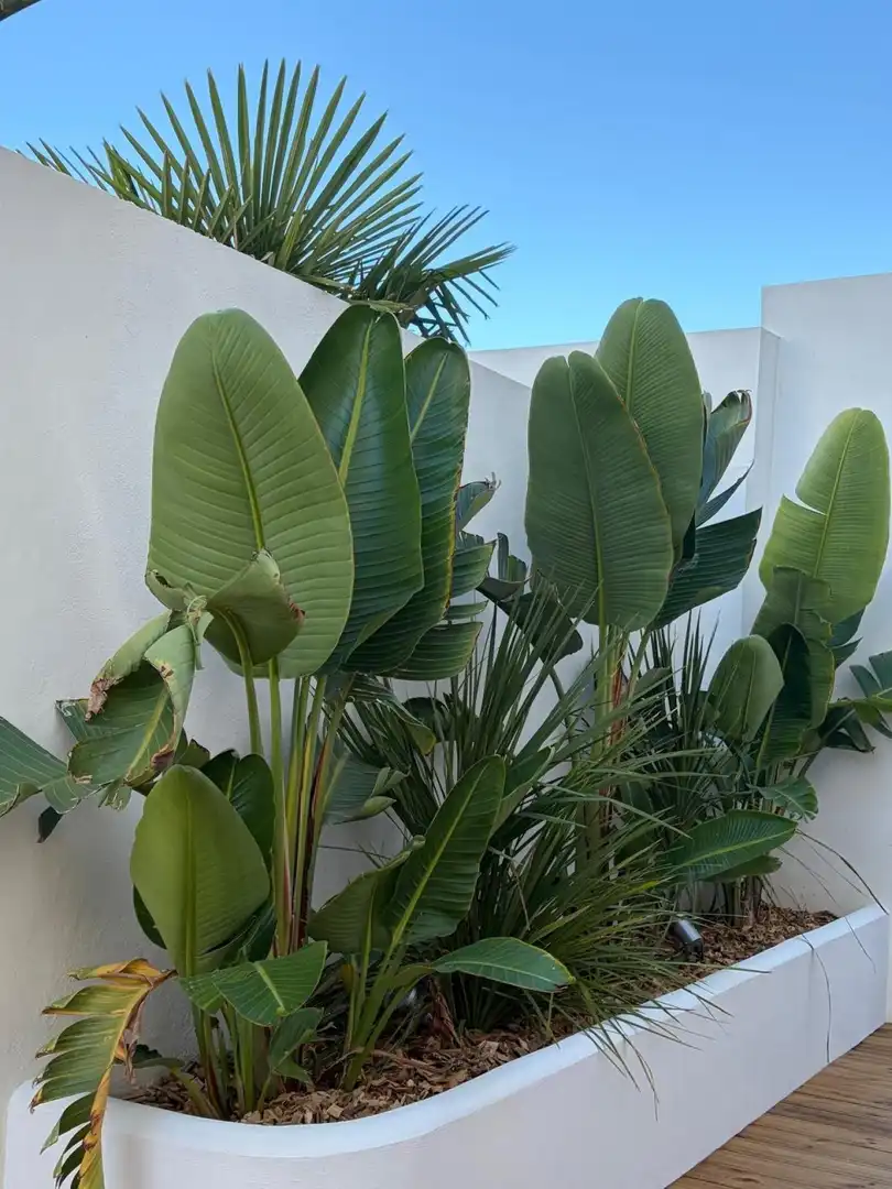 Maison avec terrasse à vendre à Segre - Ebre - Ter, imagen 4