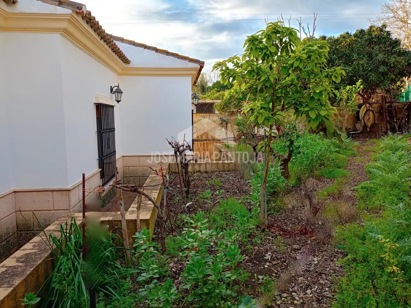 Jardí de Casa o xalet en venda en Arcos de la Frontera amb Calefacció, Jardí privat i Traster
