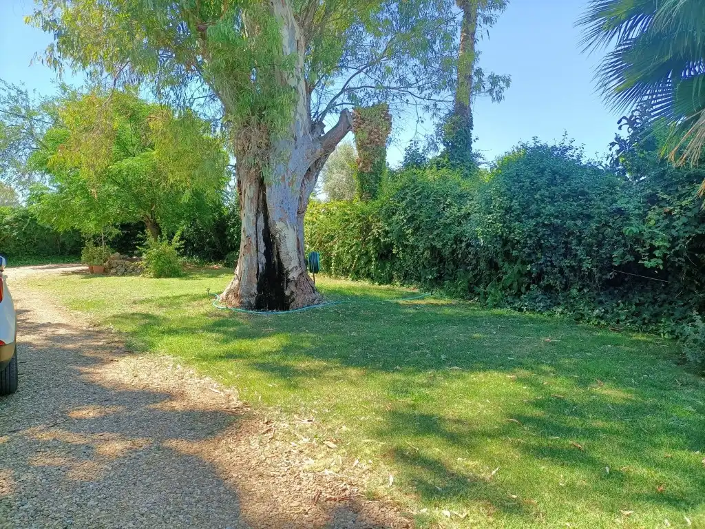Finca rústica en venda a Camino Santa Engracia, La Estación