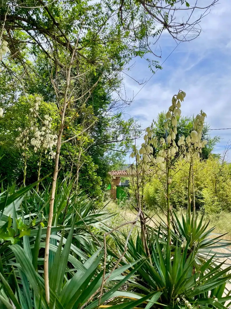 Jardí de Casa o xalet en venda en Cerdanyola del Vallès amb Calefacció, Jardí privat i Traster