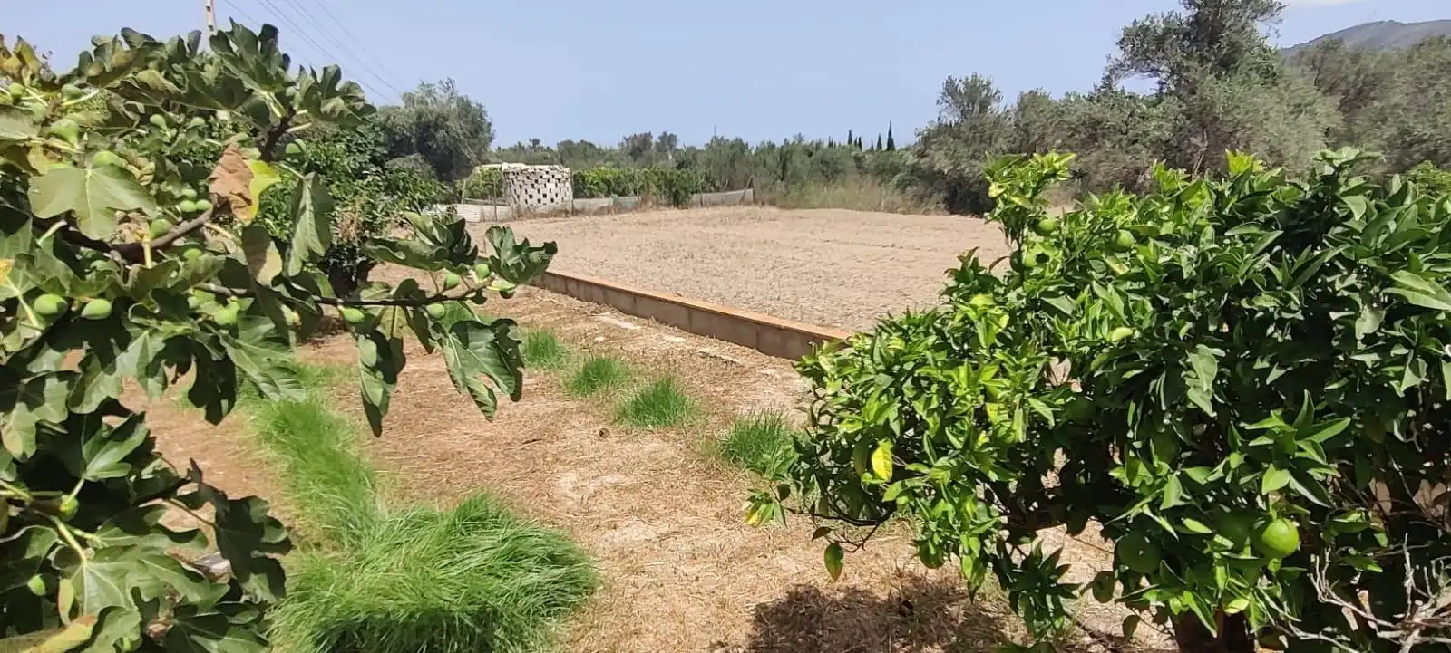 Finca rústica en venta en Benidorm con Jardín privado y Amueblado