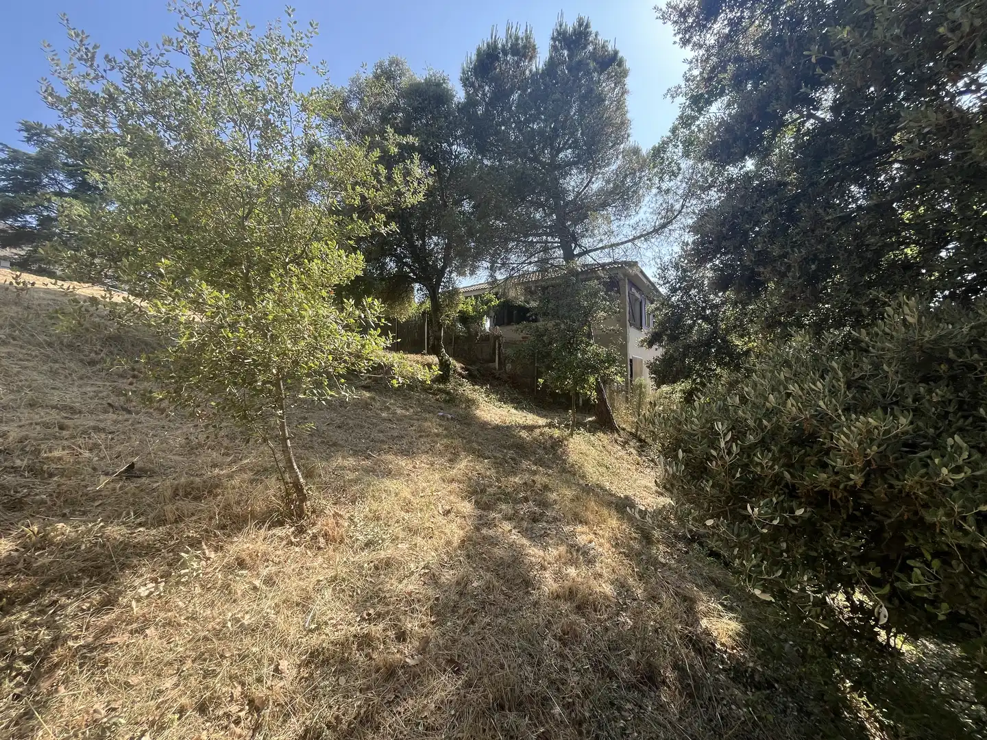 Residential for sale in Talamanca