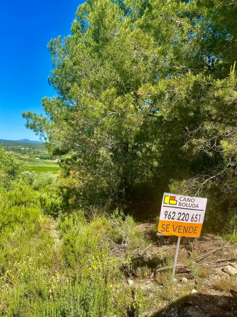 Terreno rustico in vendita a POLÍGONO 10 PARCELA 493, imagen 2