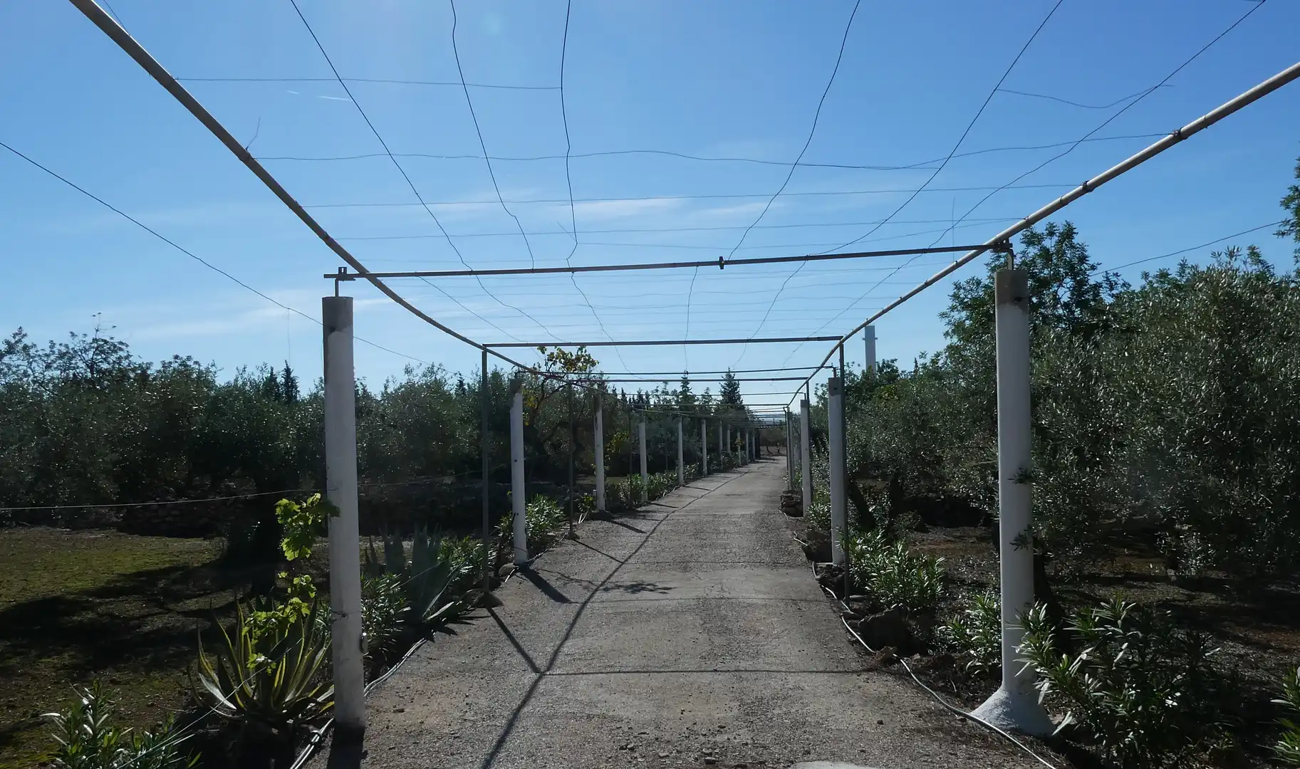 Vista exterior de Finca rústica en venda en L'Ampolla amb Aire condicionat, Jardí privat i Piscina