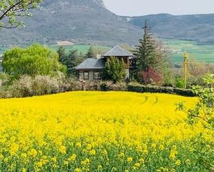 Vista exterior de Casa o xalet en venda en Allín / Allin amb Terrassa i Piscina