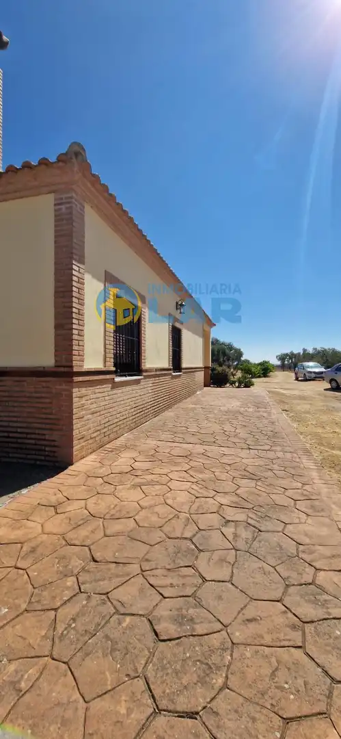 Vista exterior de Finca rústica en venda en Niebla