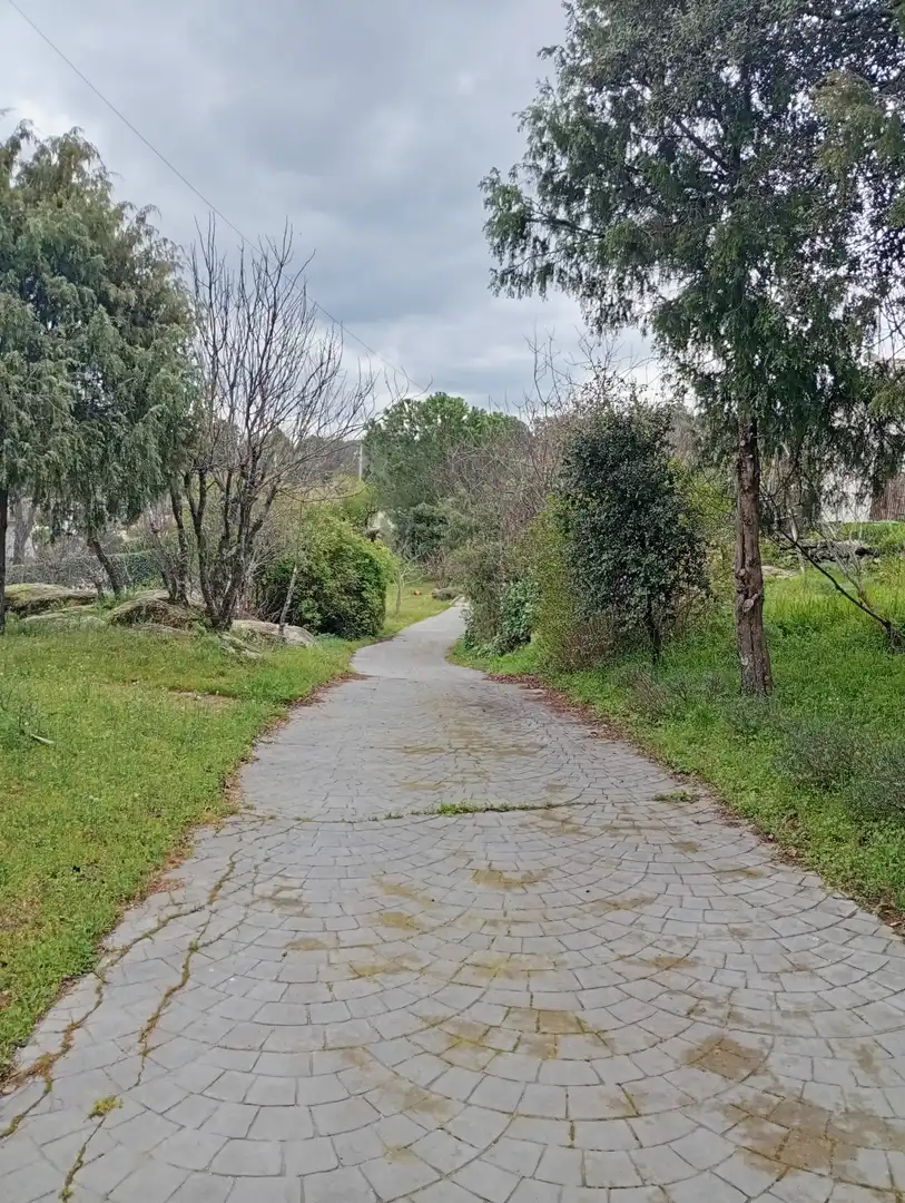 Terreni e lotti in vendita a El Tiemblo, imagen 19