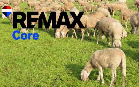 Außenansicht von Grundstücke zum Verkauf in Alcollarín