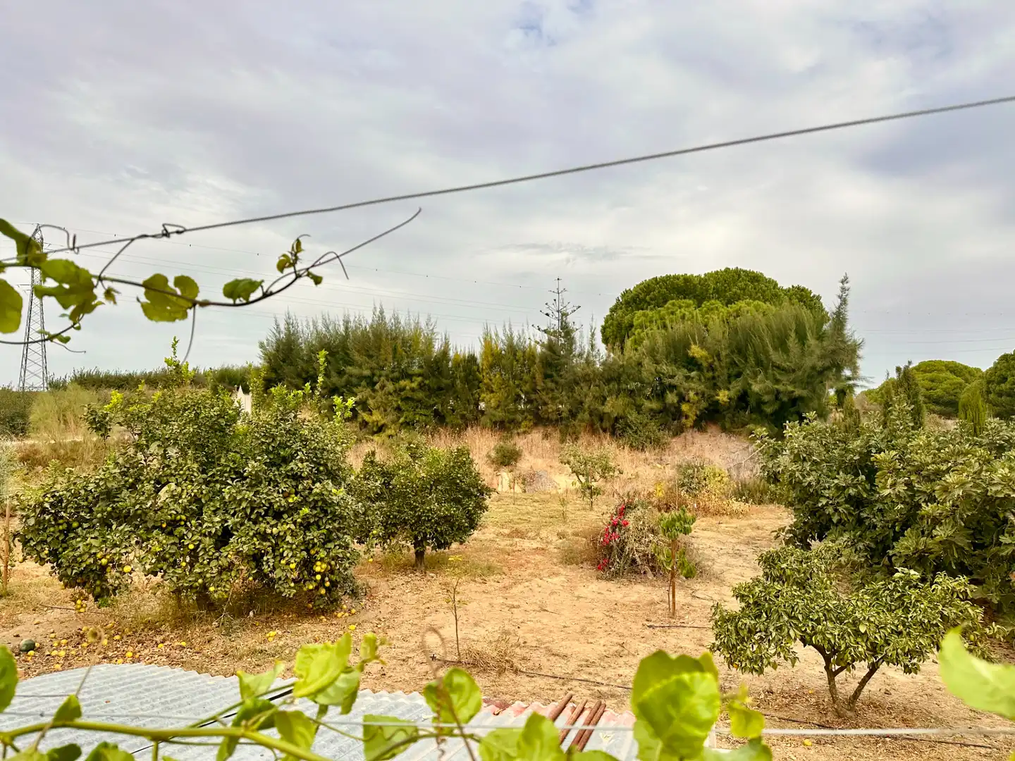 Country homes for sale in Lepe, Huelva