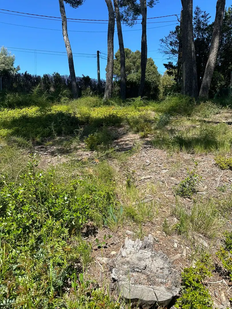 Residencial en venta en Pallejà