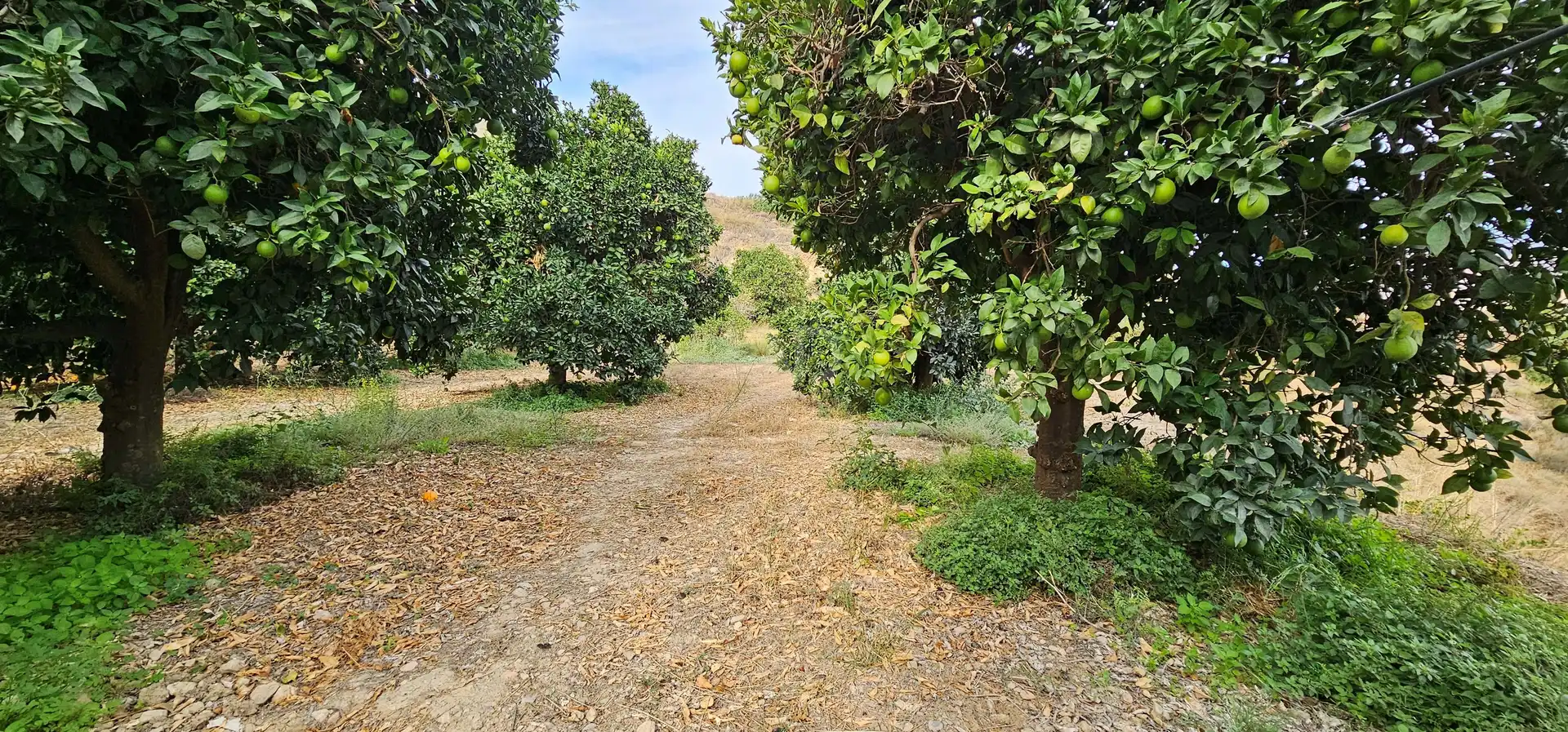 Residencial en venta en Íllar