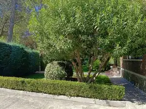 Chalet con piscina en venta en El Bosque, imagen 42