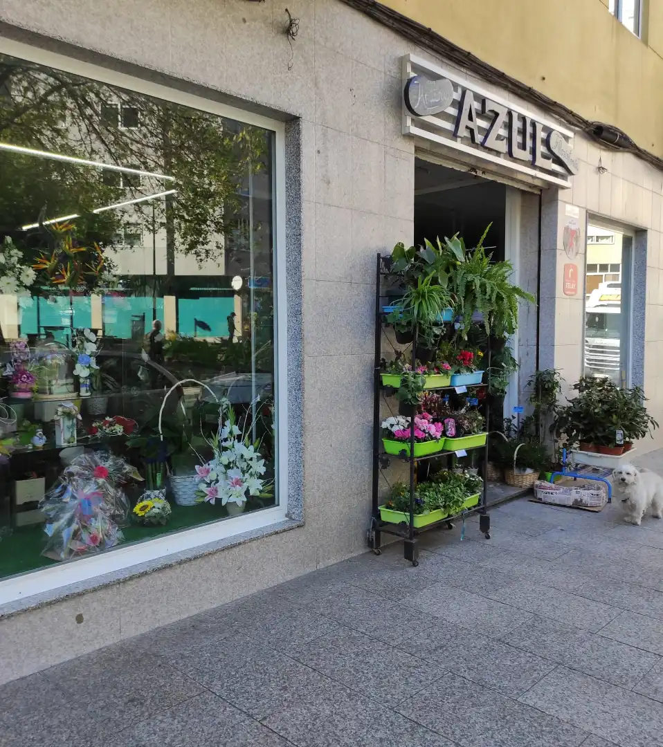 Commercial properties for rent in Vigo   with Furnished