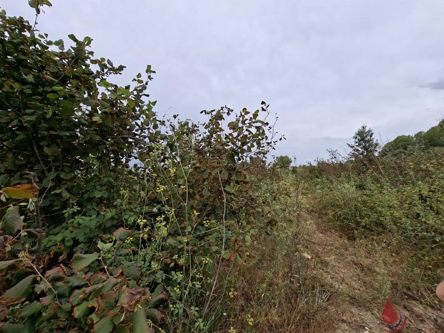 Lands and plots for sale in CARPIS