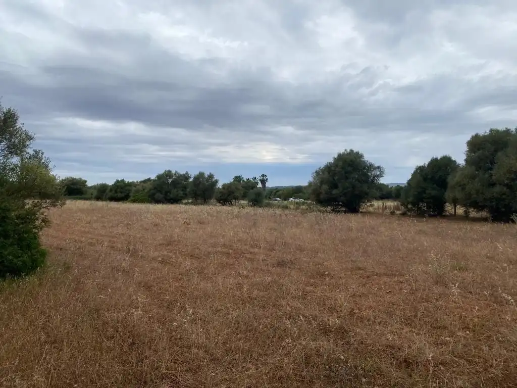 Lands and plots for sale in SON MESQUIDA, imagen 10