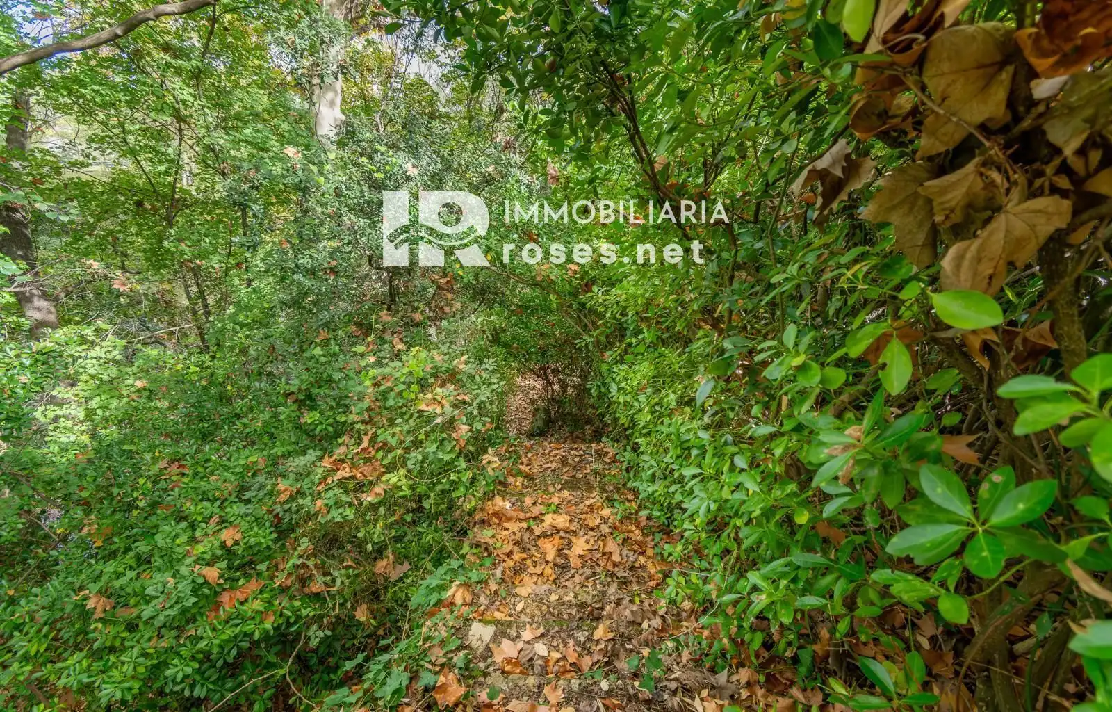 Maison avec jardin à vendre à DE LA RESCLOSA, imagen 48