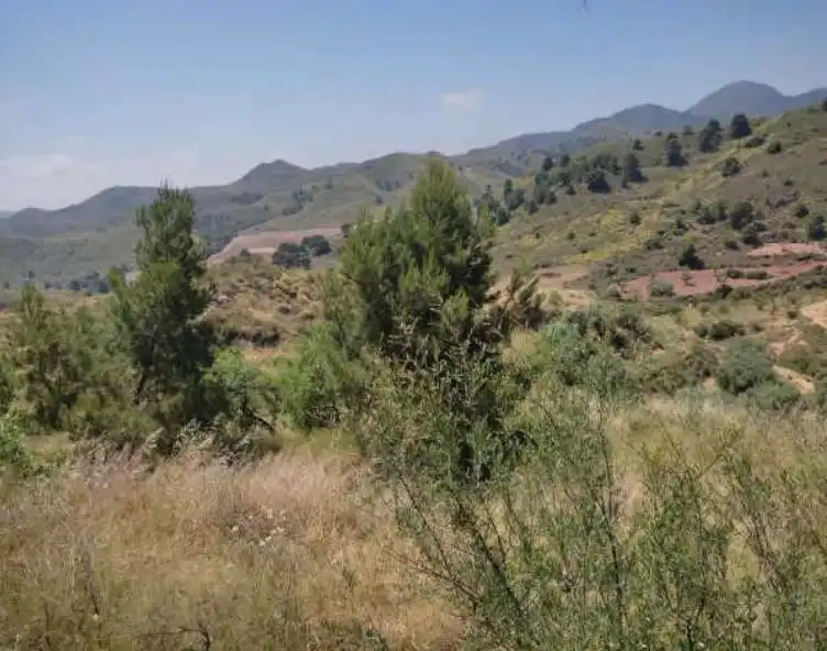 Terreni e lotti in vendita a Pedanías Sur
