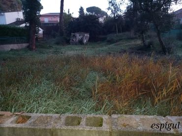 Terrain rustique à vendre à Barcelona 51