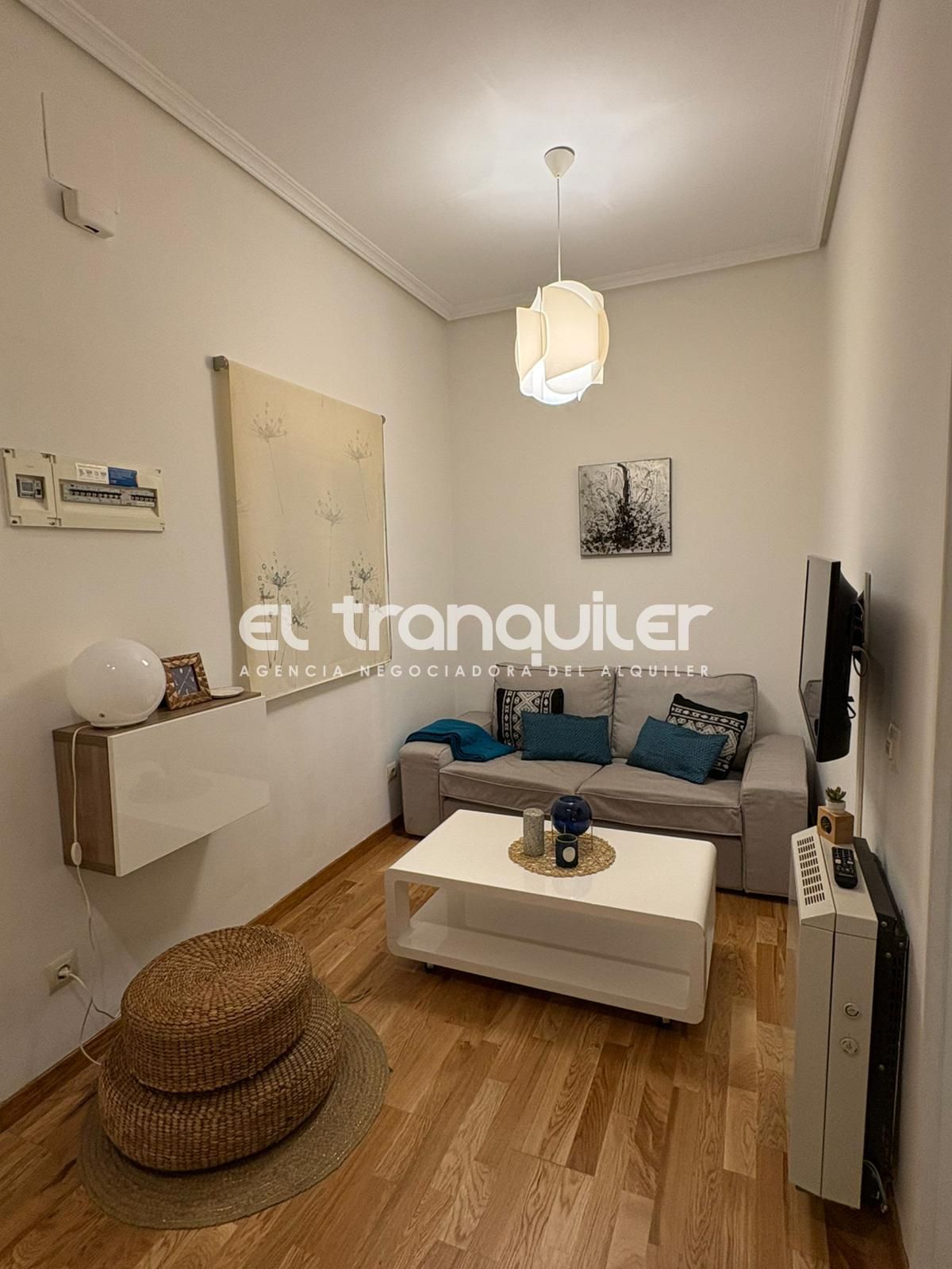 Sala d'estar de Pis de lloguer en  Madrid Capital amb Parquet, Moblat i Rentadora