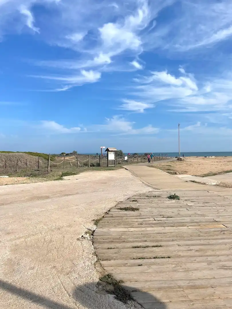 Vista exterior de Apartament en venda en Torrevieja