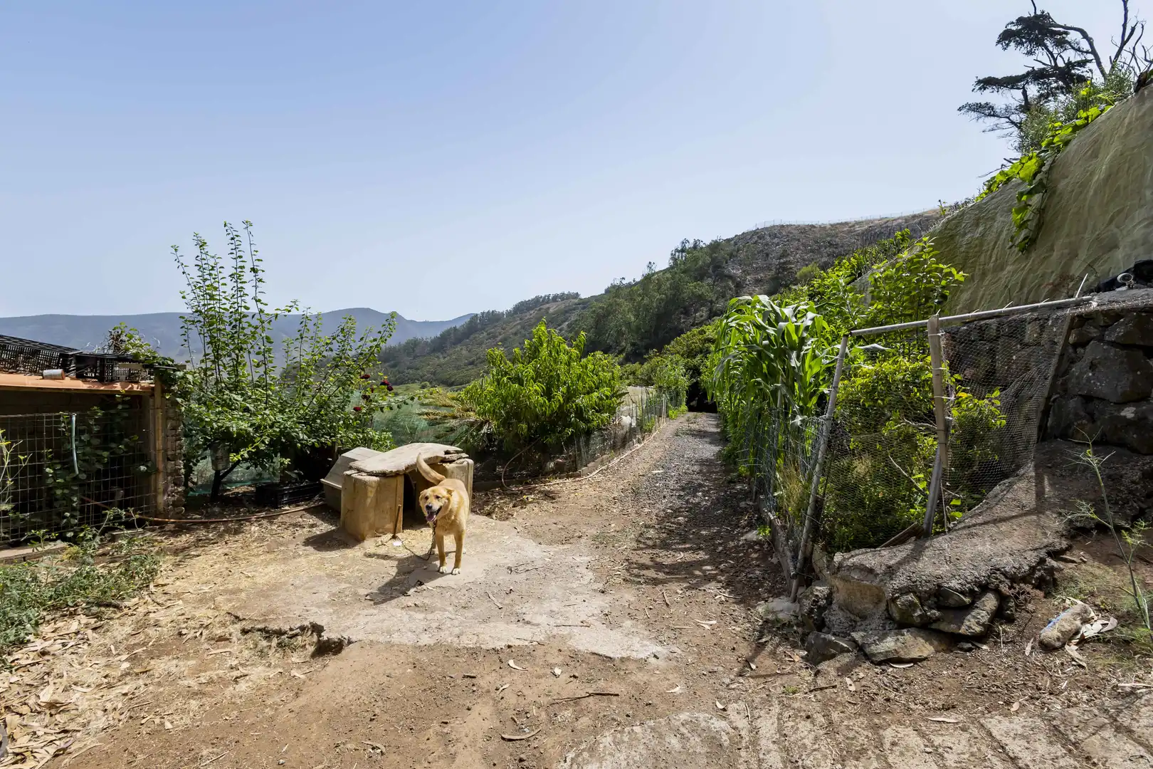 Rural land for sale in Tegueste, imagen 33