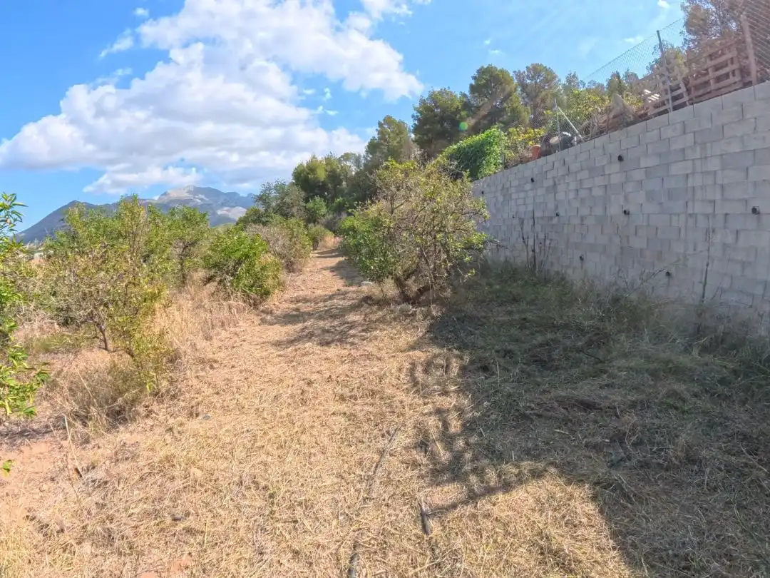 Terrain rustique à vendre à Partida Sentenilla 7, imagen 3