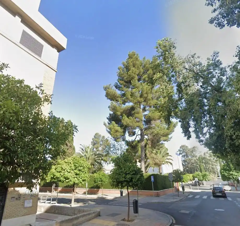 Vista exterior de Local en venta en Sevilla