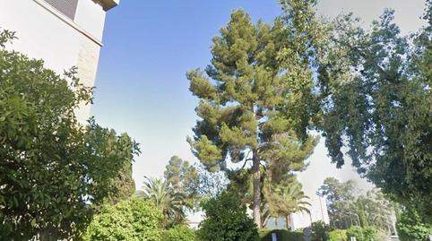 Photo 2 of Premises for sale in Bami - La Estrella, Sevilla