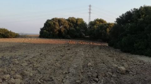 FINCA RÚSTICA EN LA ZONA DEL ABEJARUCO, imatge 3