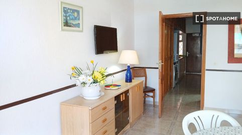 Foto 5 de Habitació a Bajamar, San Cristóbal de la Laguna