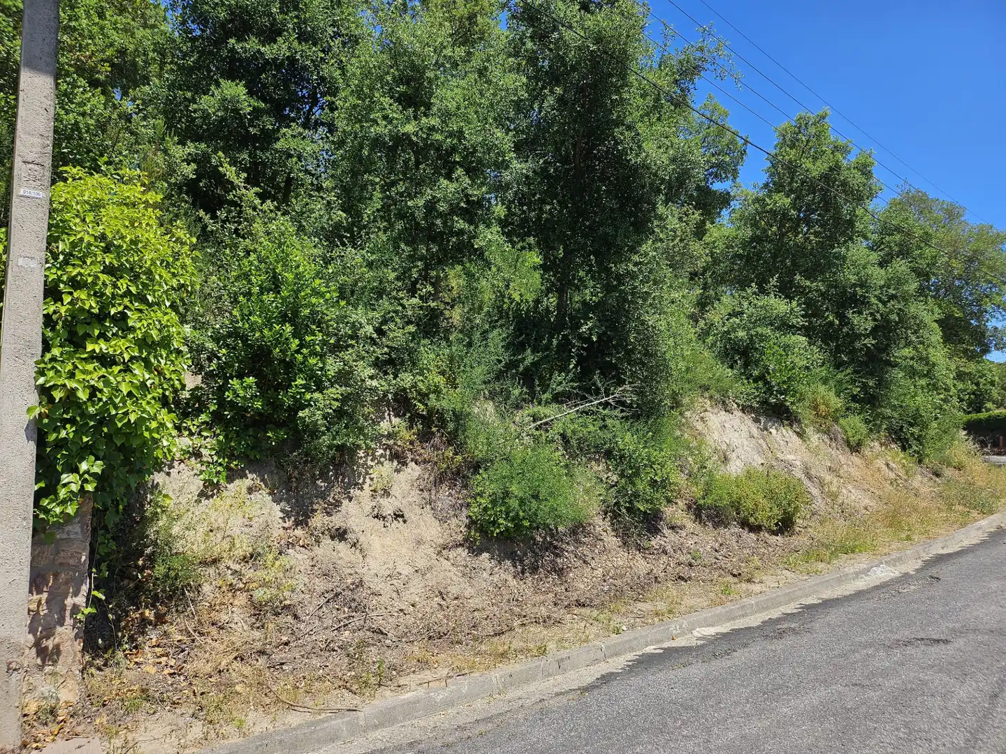 Terreno residencial en venta en Carrer Alzina Surera 54, imagen 4