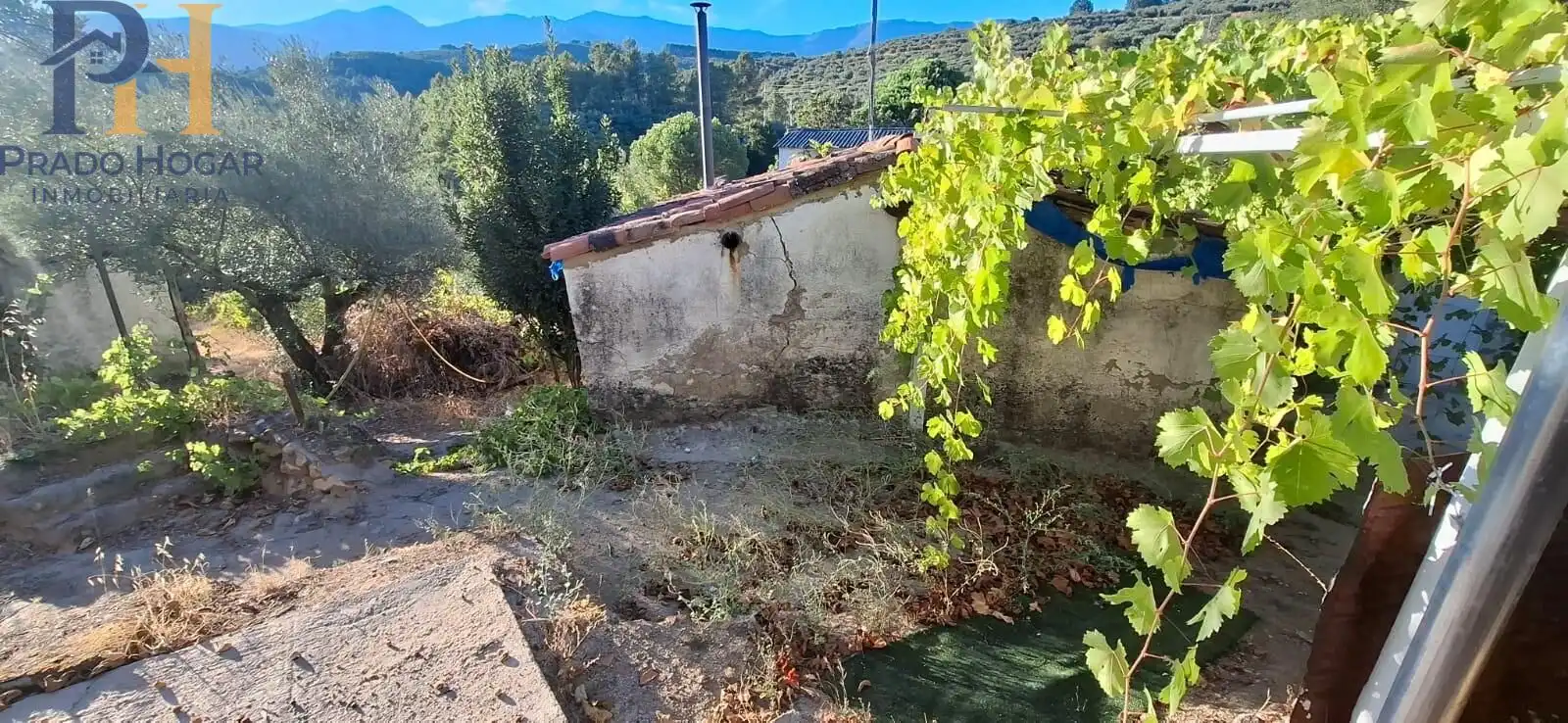 Maison à vendre à Arenas de San Pedro, imagen 10