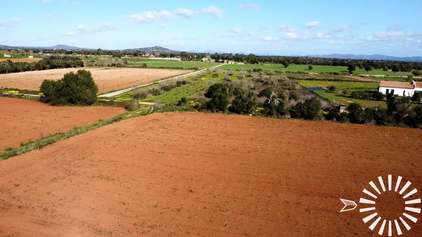 Terrain rustique à vendre à Cami de Son Pau, imagen 26